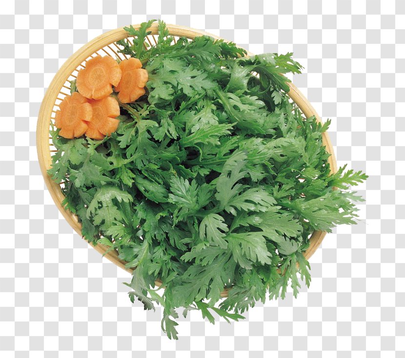 Coriander Parsley Carrot Clip Art - Green Vegetable Ingredients Transparent PNG