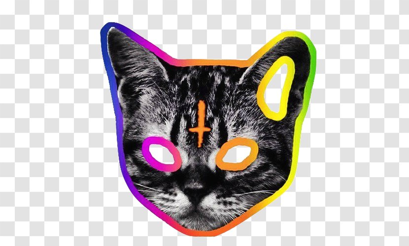 Odd Future T-shirt Camp Flog Gnaw Carnival Tron Cat - Tabby Transparent PNG