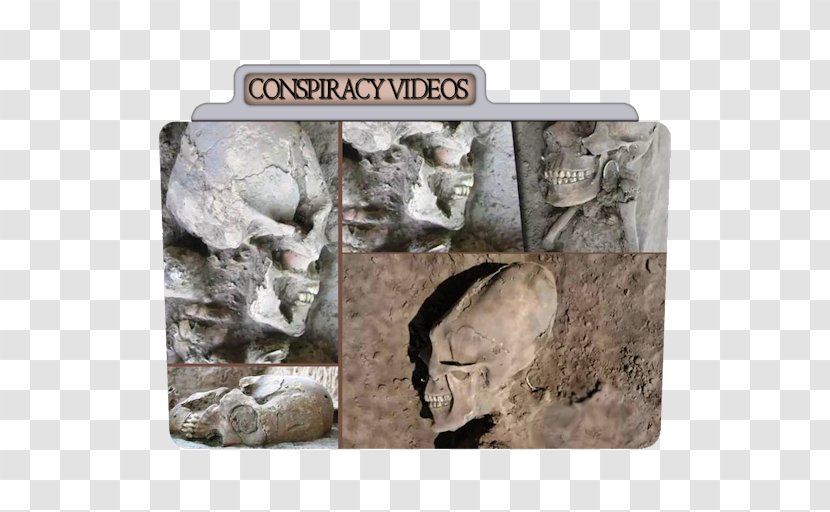 Fauna Fossil Rock - Sightings - Documentaries Conspiracy Transparent PNG
