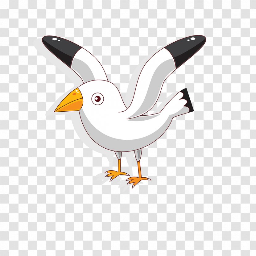 Cartoon Bird - Drawing - White Seagull Transparent PNG