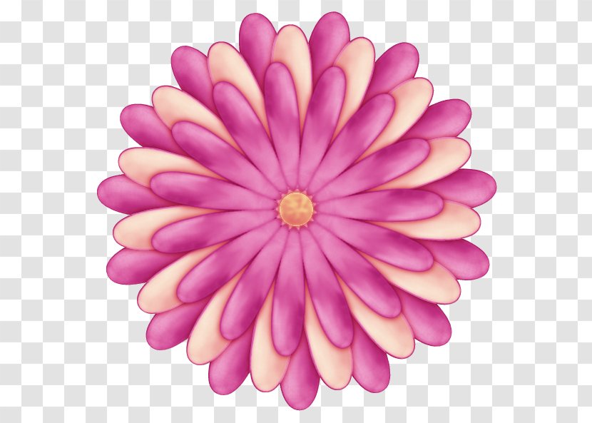 Graphic Design Icon - Aster - Peach Daisy Family Transparent PNG