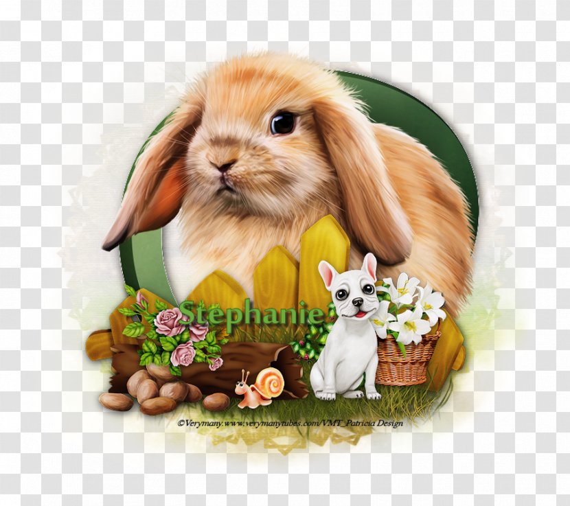 Hare Domestic Rabbit Whiskers Animal - The Autumn Equinox Transparent PNG