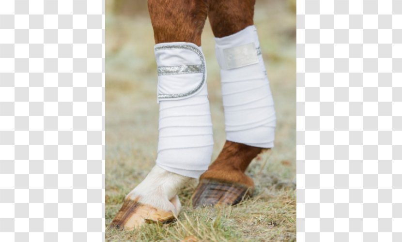 Calf Horse Bandage Ankle Knee - Heart Transparent PNG
