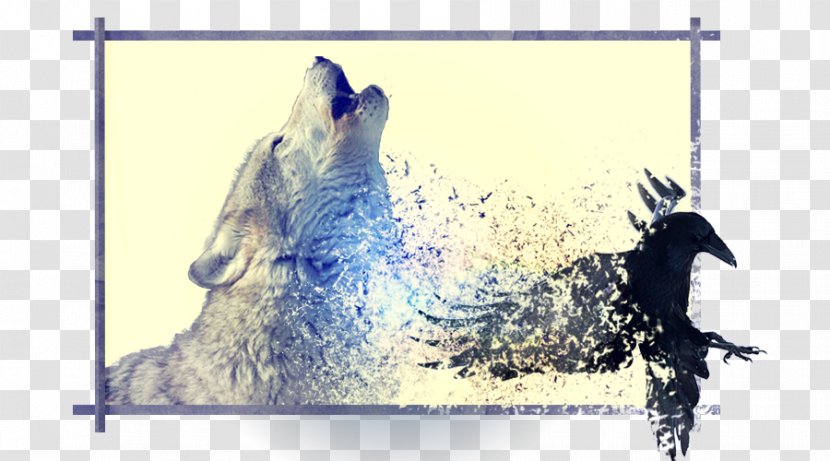 Wolves Hardcover Book Advertising - Kate Riggs Transparent PNG