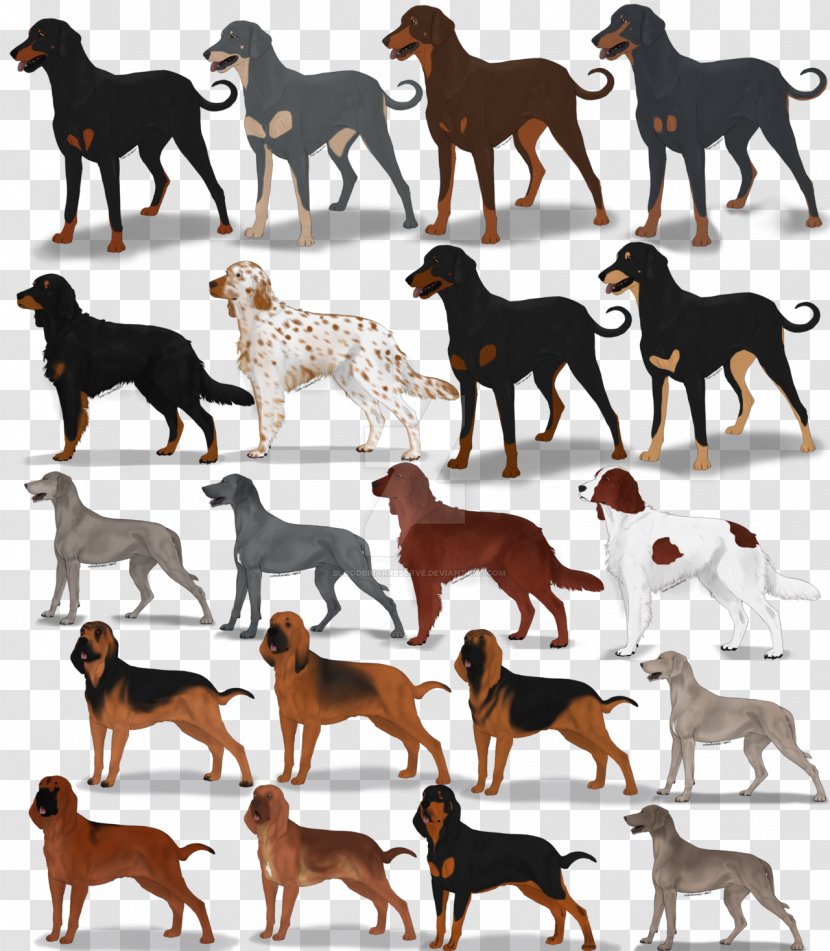Dog Breed - Group Transparent PNG