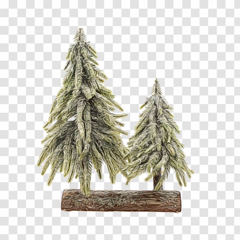Christmas Tree - Oregon Pine - American Larch Sugar Transparent PNG