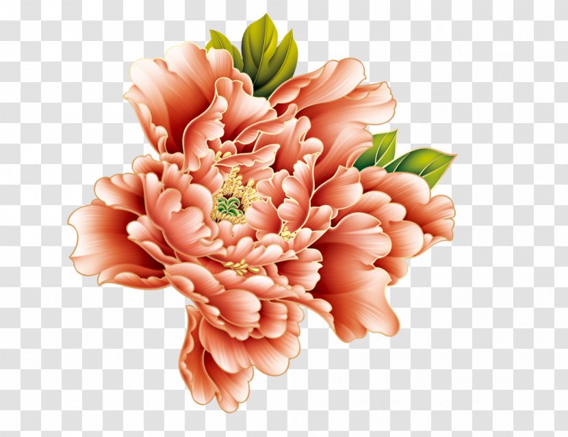 Peony 1 - Cut Flowers - Flowering Plant Transparent PNG