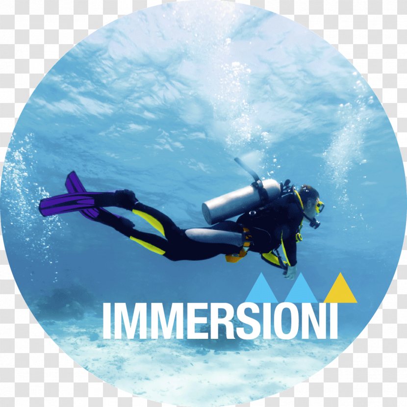 Malvan Scuba Diving Underwater Dive Center Set - Brezza Transparent PNG