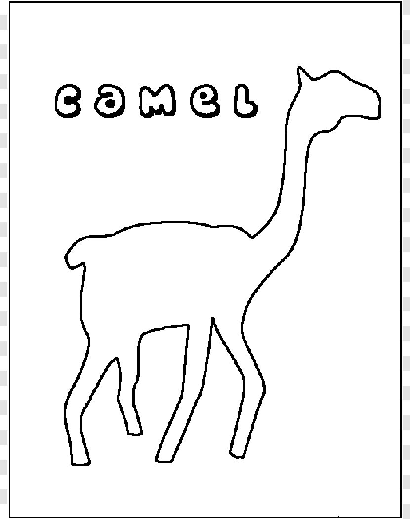 Dromedary Bactrian Camel Giraffe Coloring Book Clip Art - Pictures To Print Transparent PNG