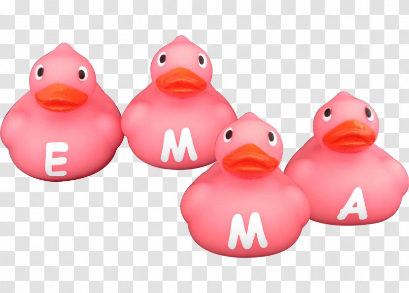 Rubber Duck Bear .nl Gift - Web Shop Transparent PNG