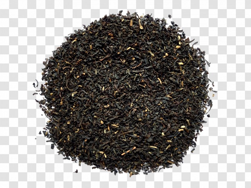 Lapsang Souchong Nilgiri Tea Oolong Darjeeling Transparent PNG