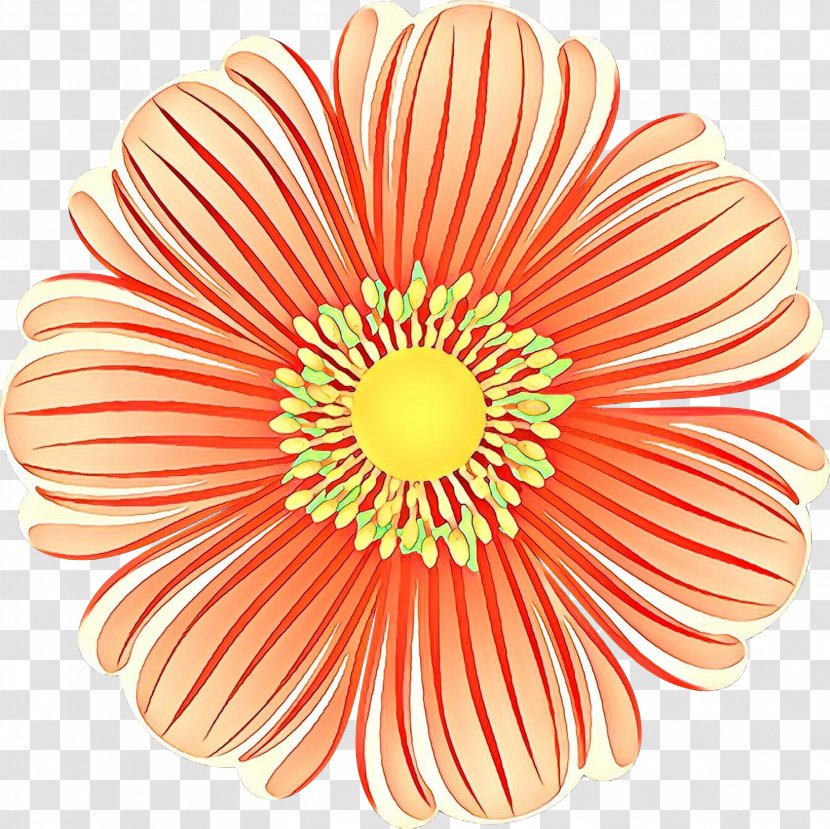 Flowers Background - Gerbera - Peach Daisy Family Transparent PNG