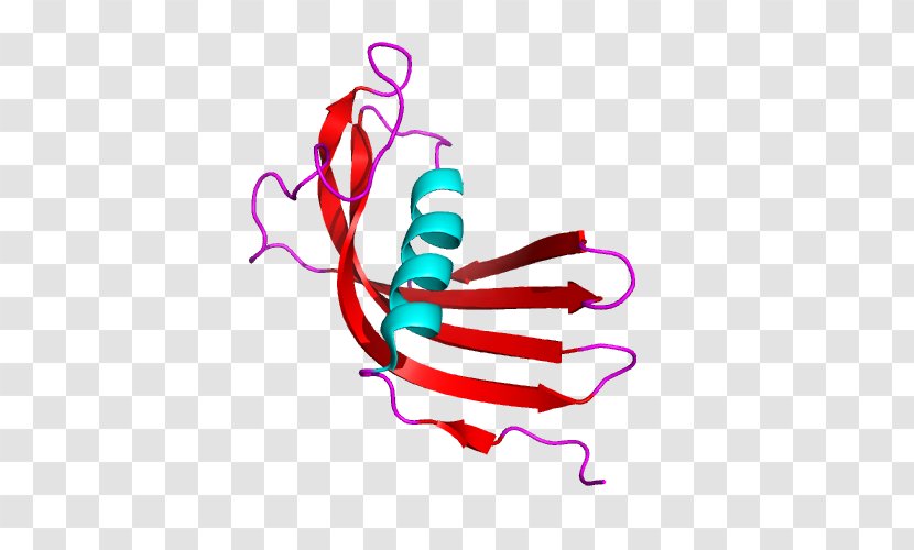 Cystatin C Cysteine Protease Ornithodoros - Frame - Watercolor Transparent PNG