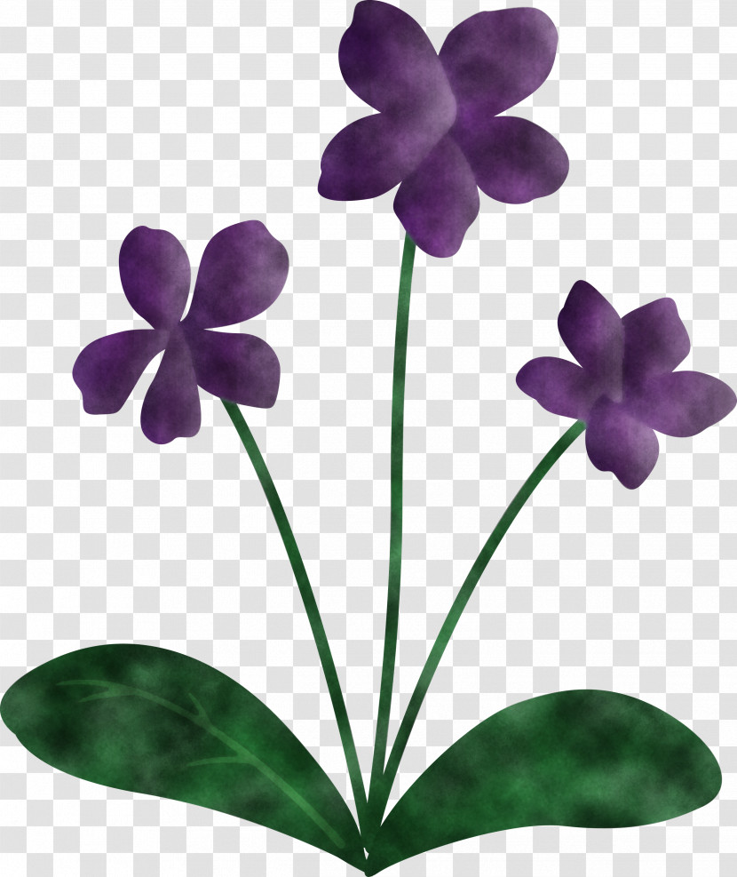 Violet Flower Transparent PNG