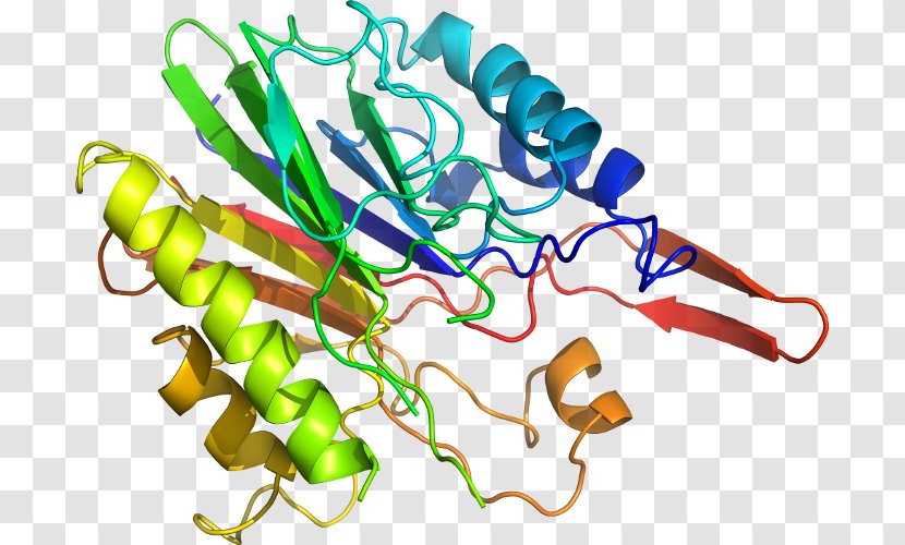 Protein Structure Prediction Computer Software BLAST - Peptide Transparent PNG