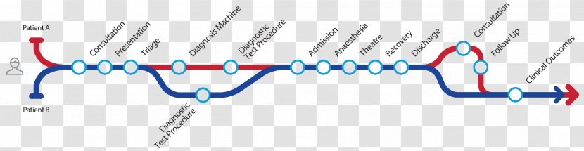 Patient Health Care Clinical Pathway Medical Record Diagnosis - Flower Transparent PNG