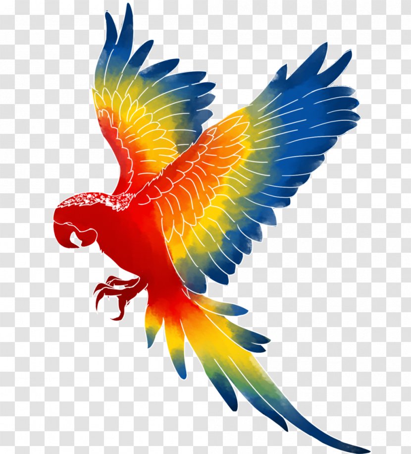 Parrot Catalina Macaw Bird - Image Transparent PNG