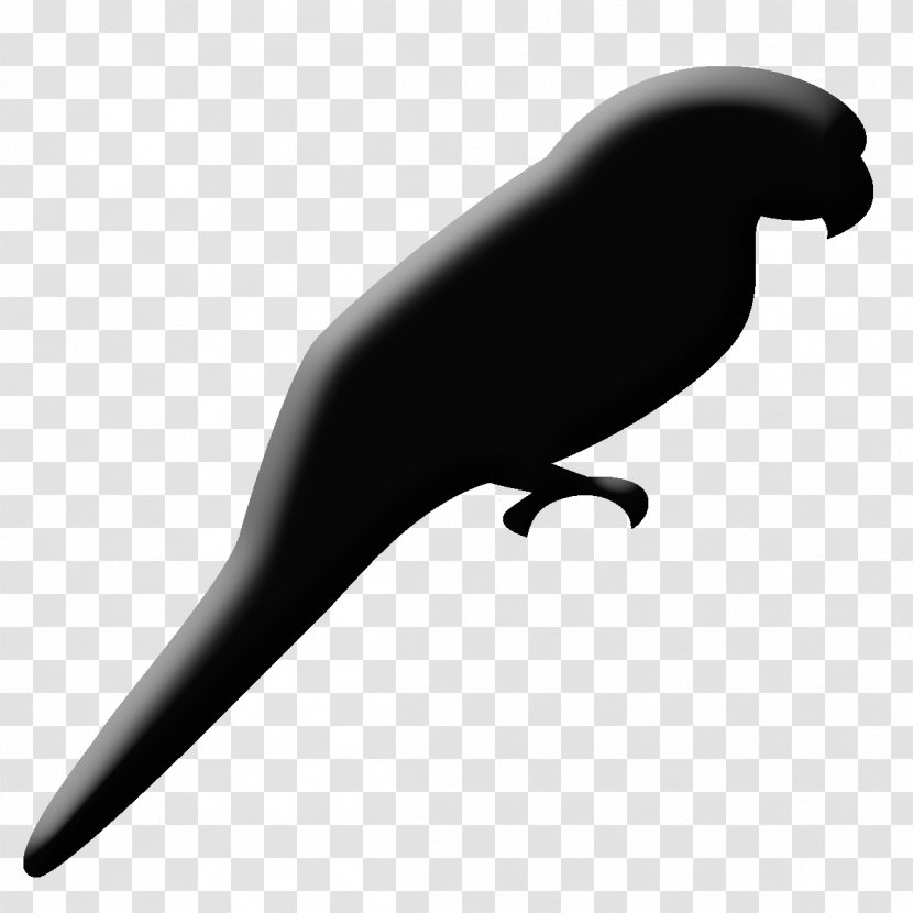 Sea Lion Clip Art Fauna Beak Transparent PNG