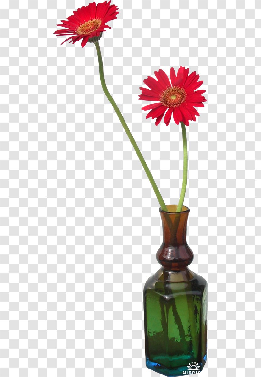 Transvaal Daisy Vase Flower - Flowerpot Transparent PNG