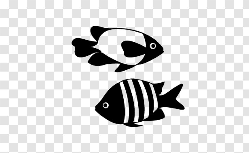 Goldfish - Drawing - Aquatic Animal Transparent PNG