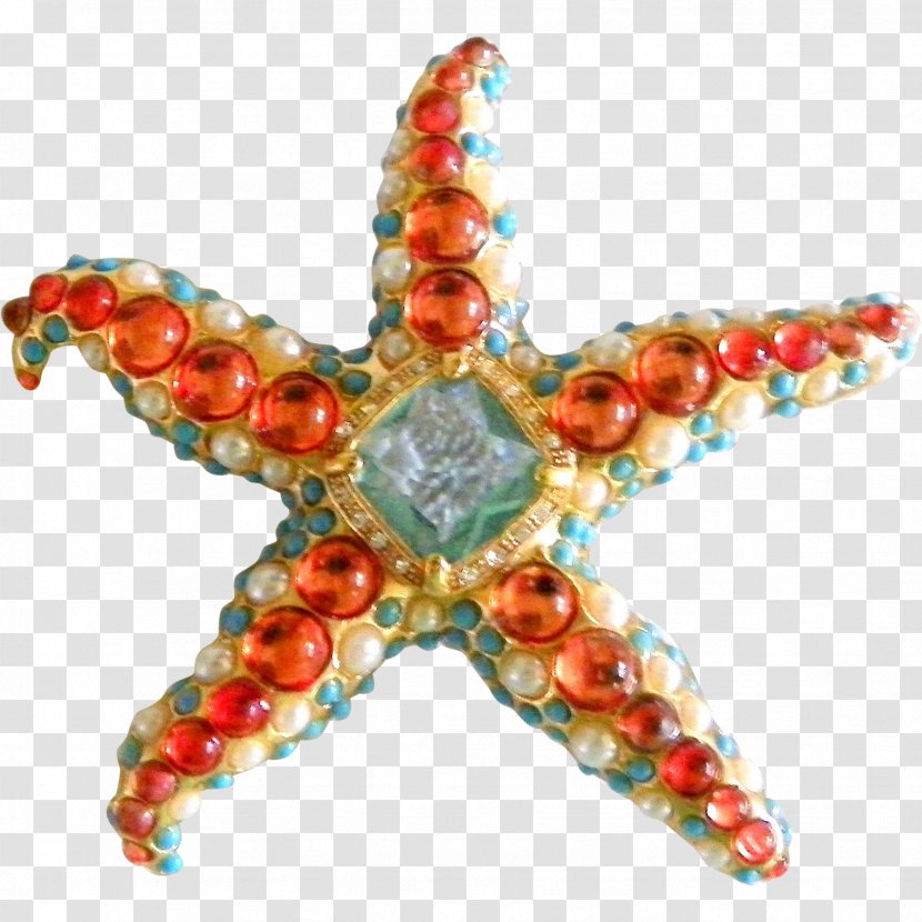 Jewellery Bead Starfish Invertebrate Jewelry Design Transparent PNG