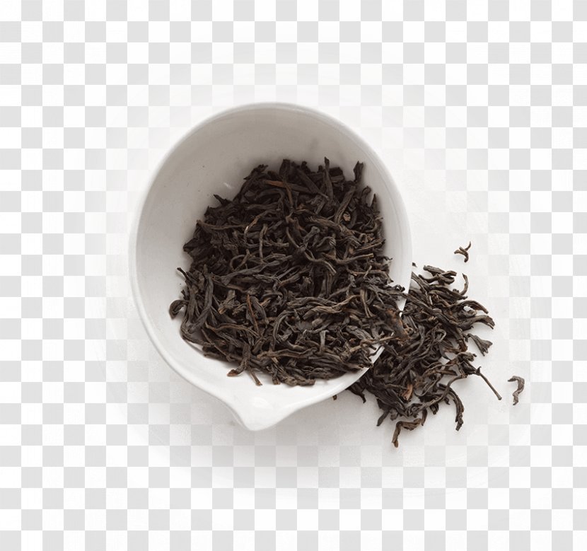 Kombucha Nilgiri Tea Dianhong Oolong - Darjeeling - Anhua Black Transparent PNG