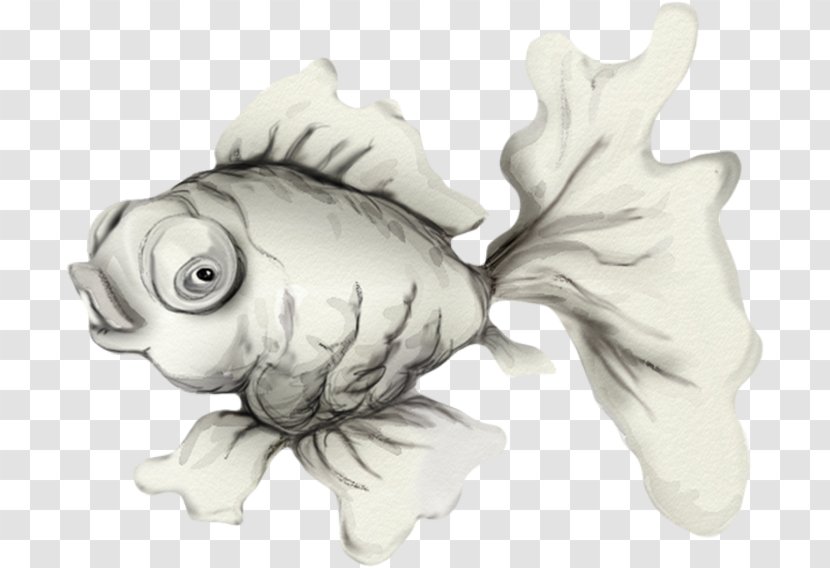 Fish - Artwork - Organism Transparent PNG