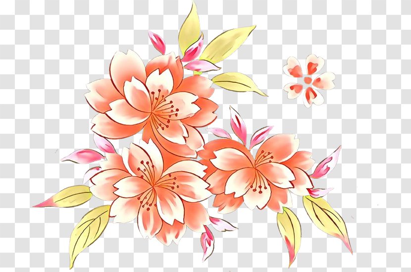 Floral Design - Petal - Peach Cut Flowers Transparent PNG