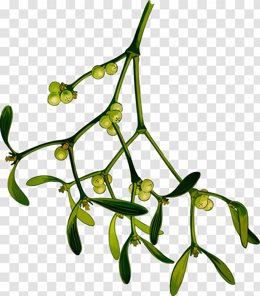 Branch Plant Flower Leaf Twig Transparent PNG