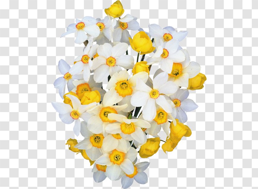 Gift Cut Flowers Flower Bouquet Woman - Flowering Plant Transparent PNG