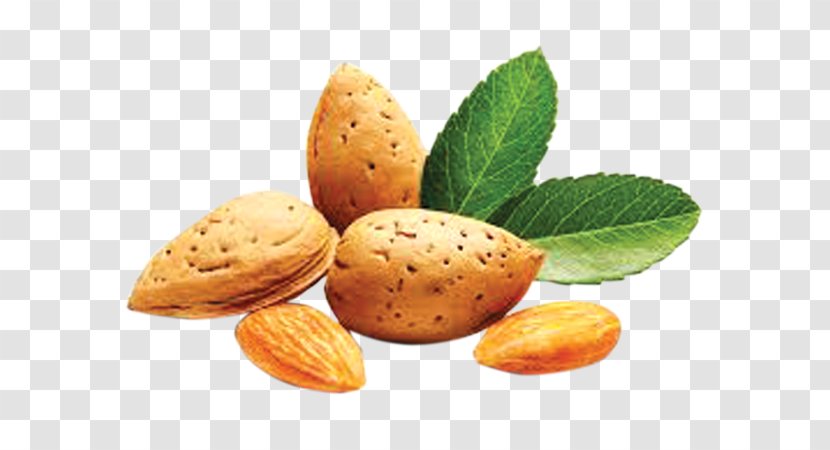 Almond Mixed Nuts Food Roasting Transparent PNG