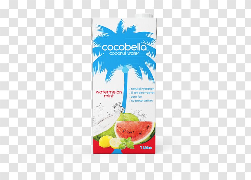 Coconut Water Sports & Energy Drinks Fizzy Juice Transparent PNG