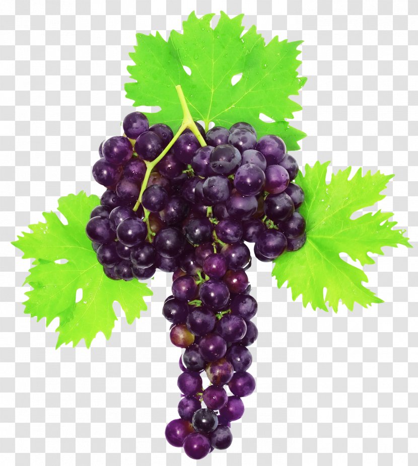 Muscat Grape White Photography - Zante Currant Transparent PNG