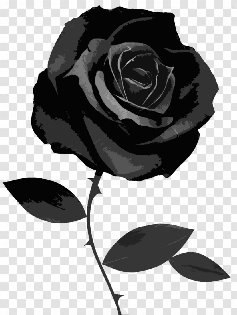 Black Rose Desktop Wallpaper Clip Art - Flower Transparent PNG