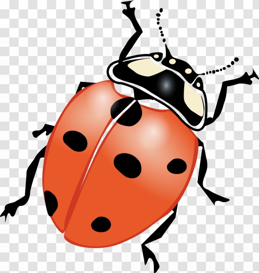 Ladybird Black And White Clip Art - Drawing - Bug Cliparts Transparent PNG