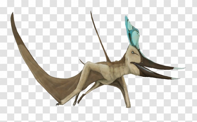 Pteranodon Late Cretaceous Pterosaurs Geosternbergia Dimorphodon - Dinosaur Transparent PNG