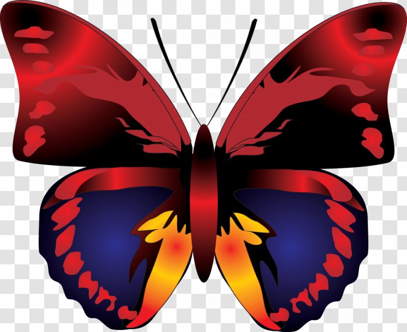Butterfly Red Clip Art - Symmetry - Image Transparent PNG