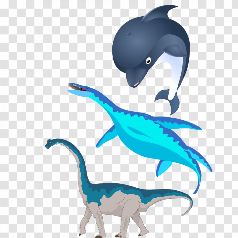 Plesiosauria Aquatic Animal Dinosaur Clip Art - Pixabay - Creative Whale Design Transparent PNG