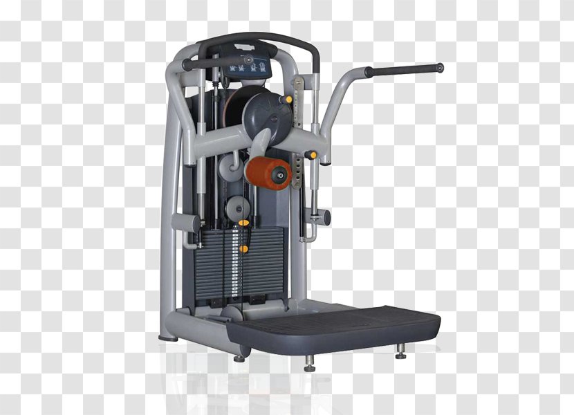 Fitness Centre Smith Machine Exercise Equipment Physical Crunch Transparent PNG