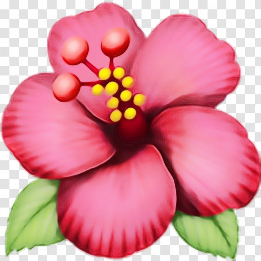 Heart Emoji Background - Perennial Plant Transparent PNG