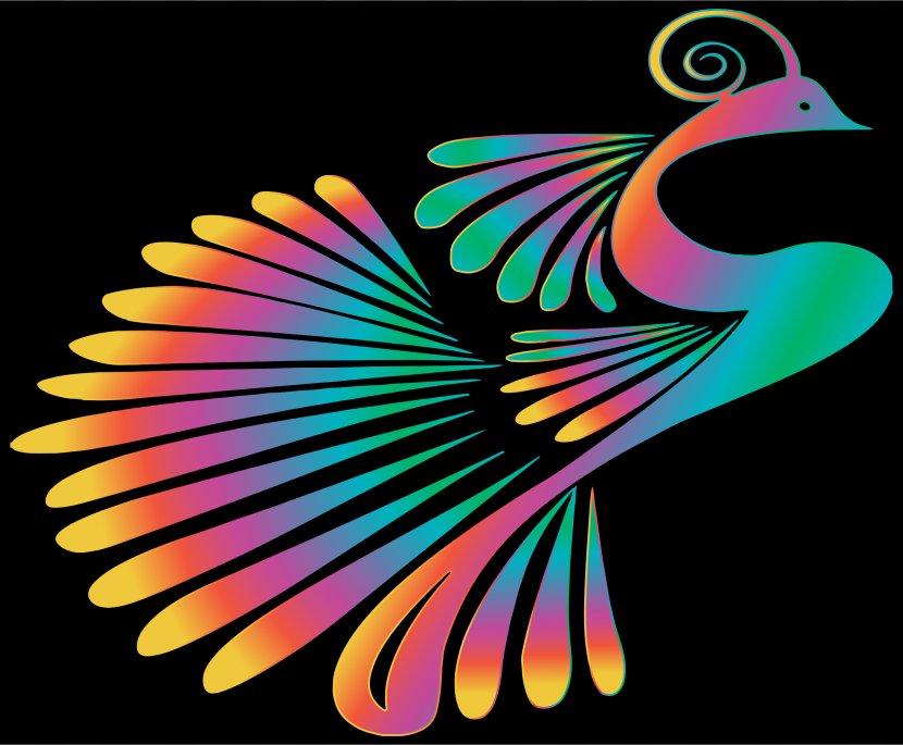 Peafowl Color Bird Clip Art - Feather - Peacock Transparent PNG