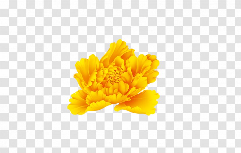 Yellow Moutan Peony Flower - Calendula Transparent PNG