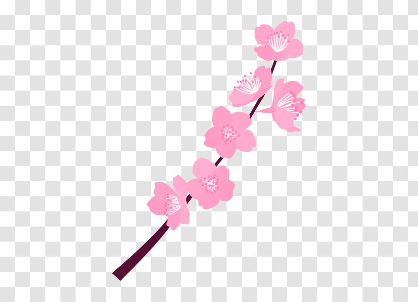 Floral Design Cut Flowers Cherry Blossom ST.AU.150 MIN.V.UNC.NR AD - Petal - Flowering Plant Transparent PNG