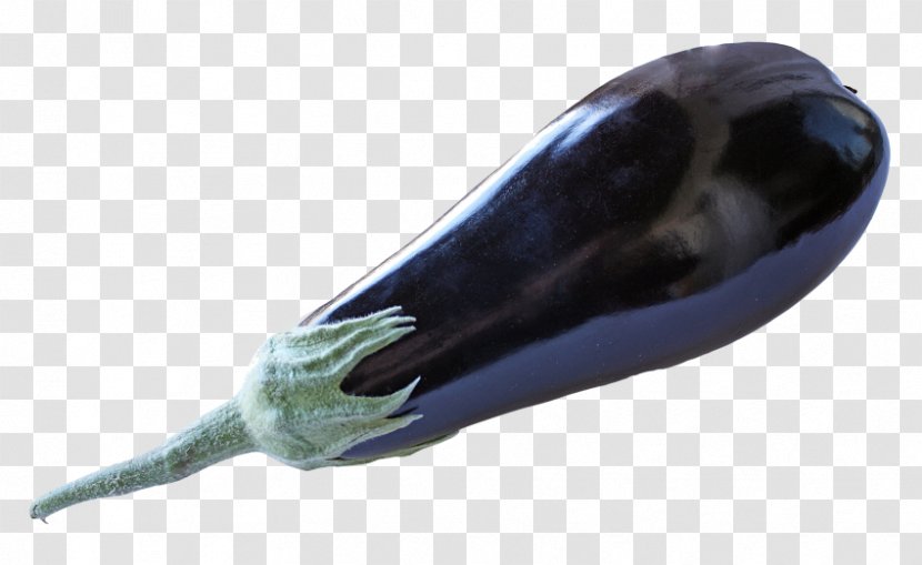 Eggplant Vegetable Tomato - Google Images Transparent PNG