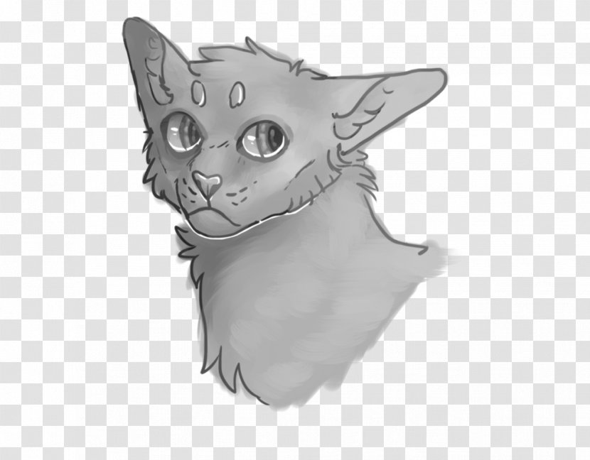 Cat Whiskers Kitten Dog Drawing - Animal - Painted Transparent PNG