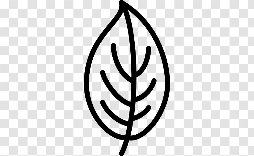 Royalty-free - Leaf - Leave The Transparent PNG