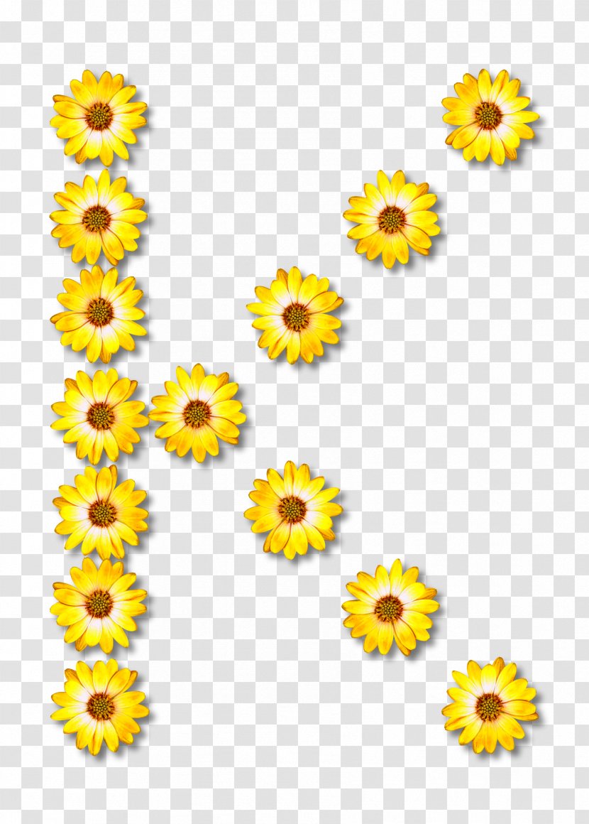 GitHub Flower Common Daisy Petal Clip Art - Flowering Plant - Github Transparent PNG
