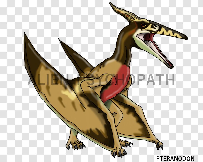Gallimimus Velociraptor Pteranodon Jurassic Park Dinosaur - Bird - Cartoon Alien Transparent PNG