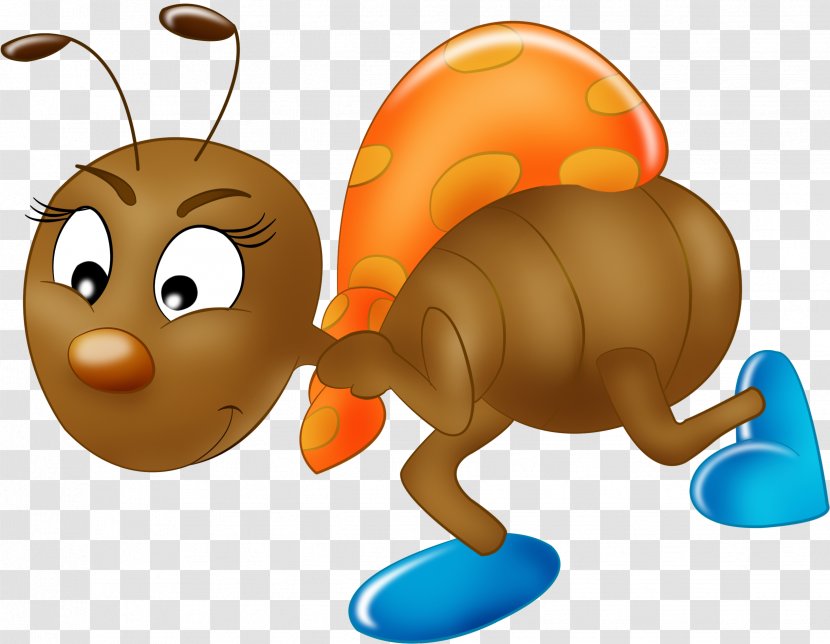 Insect Drawing Image Clip Art - Orange Transparent PNG