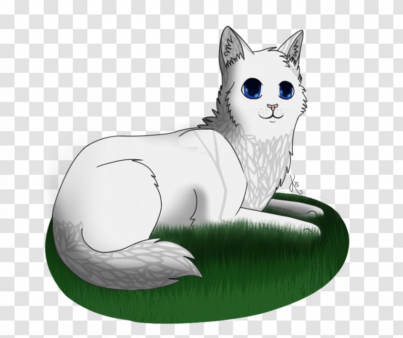 Whiskers Cat Cloudtail Brightheart Warriors - Mammal Transparent PNG
